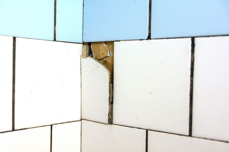 Damaged Grout